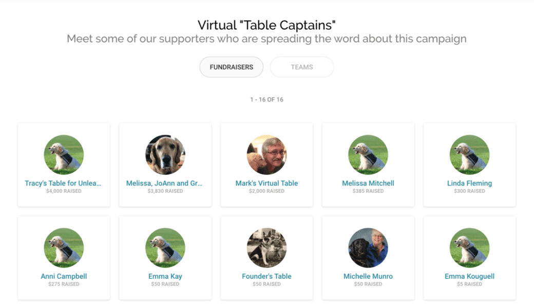 virtual-gala-table-captains